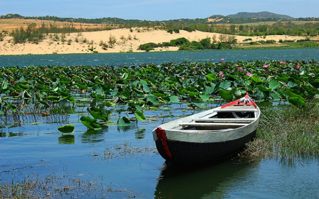 Bàu trắng - ốc đảo giữa sa mạc