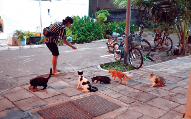 Quốc đảo Maldives: Những điều thú vị